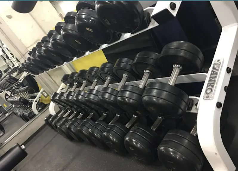 駅前筋肉留学GO 三田・田町店