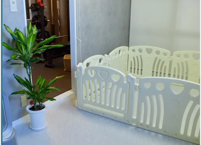 BBGYM東久留米店内装