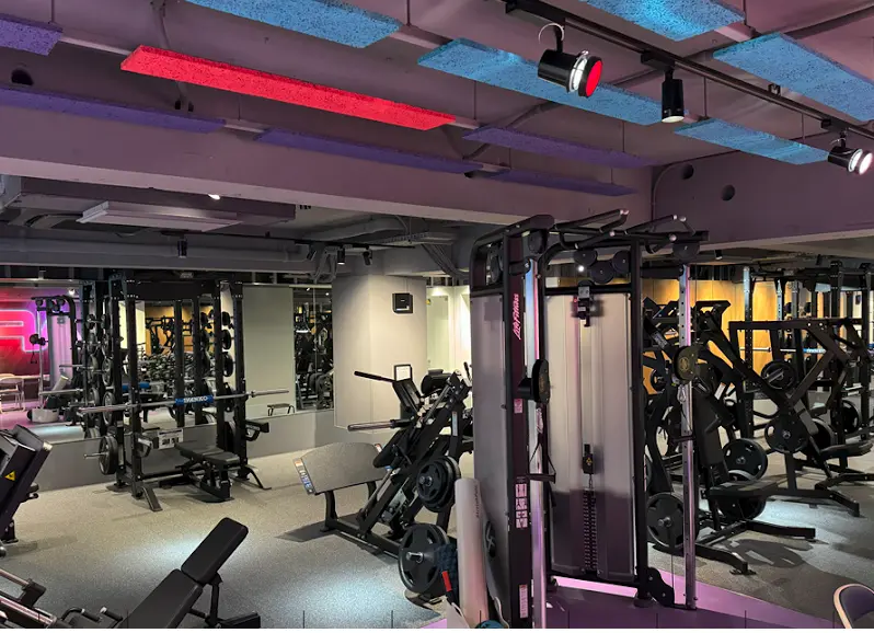 フィットネスジム エニタイムフィットネス 八幡山店のジム内風景